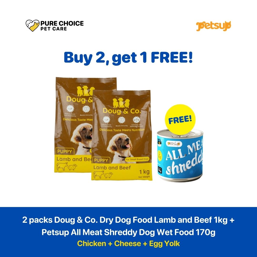 Doug & Co. Dry Dog Food Puppy Lamb and Beef 1kg + Petsup All Meat Shreddy Dog Wet Food 170g