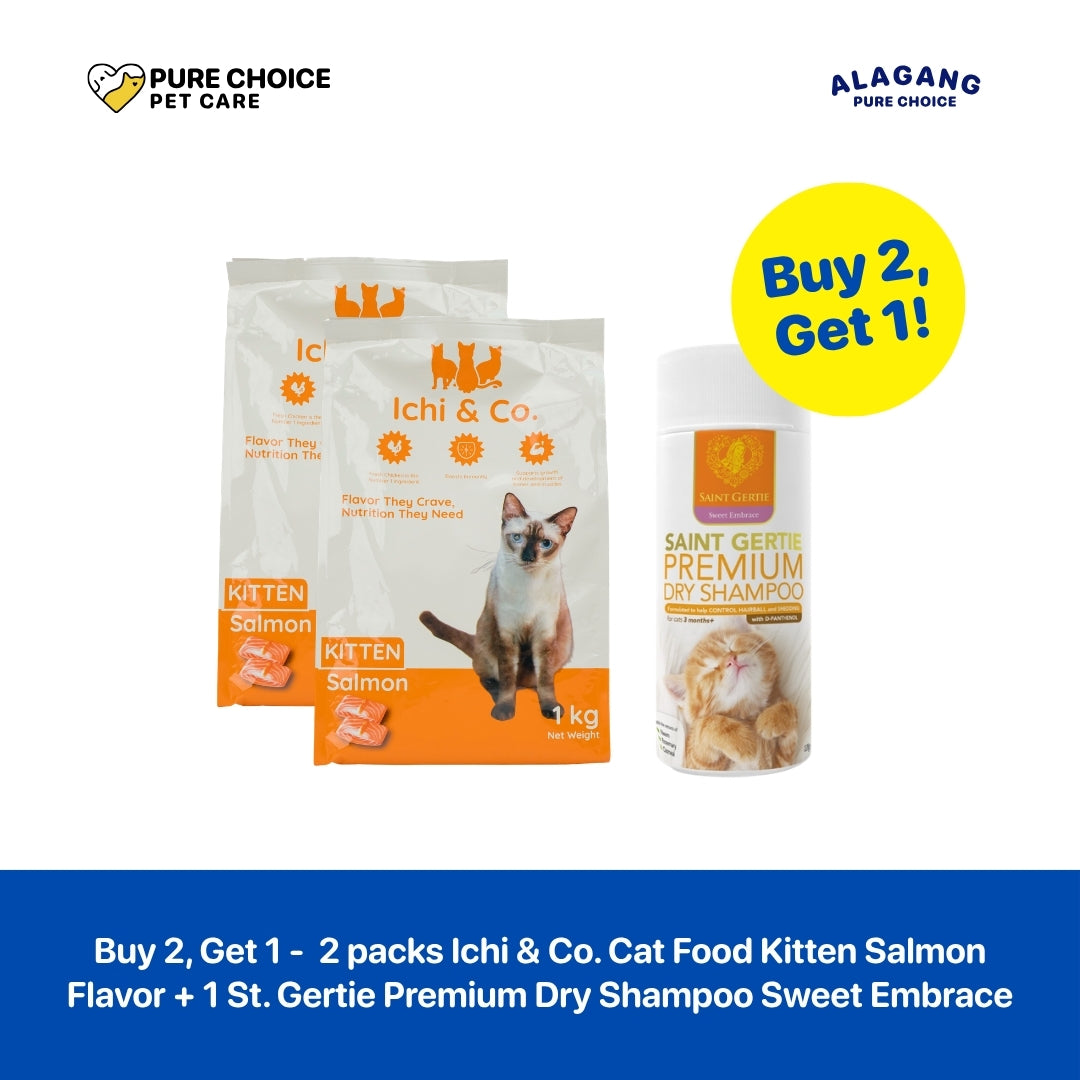 Pure Choice - Buy 2 Get 1 Free Ichi & Co. Dry Cat Food for Kitten Salmon Flavor 1Kg + Saint Roche Premium Dry Shampoo Sweet Embrace 128ml