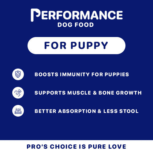 Performance Dog Food: Performance Puppy and Adult Lamb, Beef Vegetables Flavor 1kg image 7
