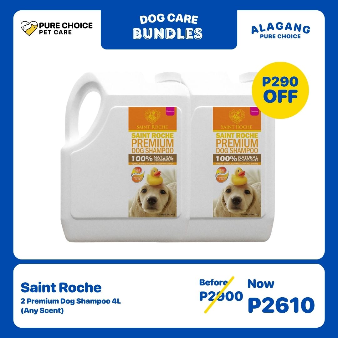 Buy 2 Saint Roche Premium Shampoo (Any Scents) 4L