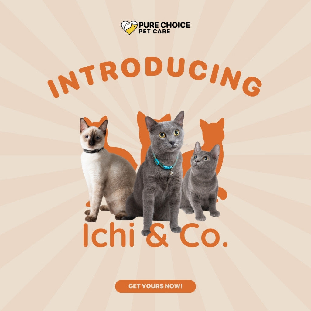 Ichi & Co Cat Litters Lemon 10L/8kg image 2