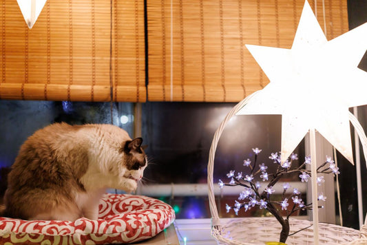 Litter Maintenance Guide