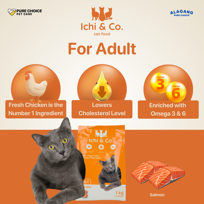 Ichi & Co. Dry Cat Food  Salmon Flavor 1kg - Bundle of 2 Packs