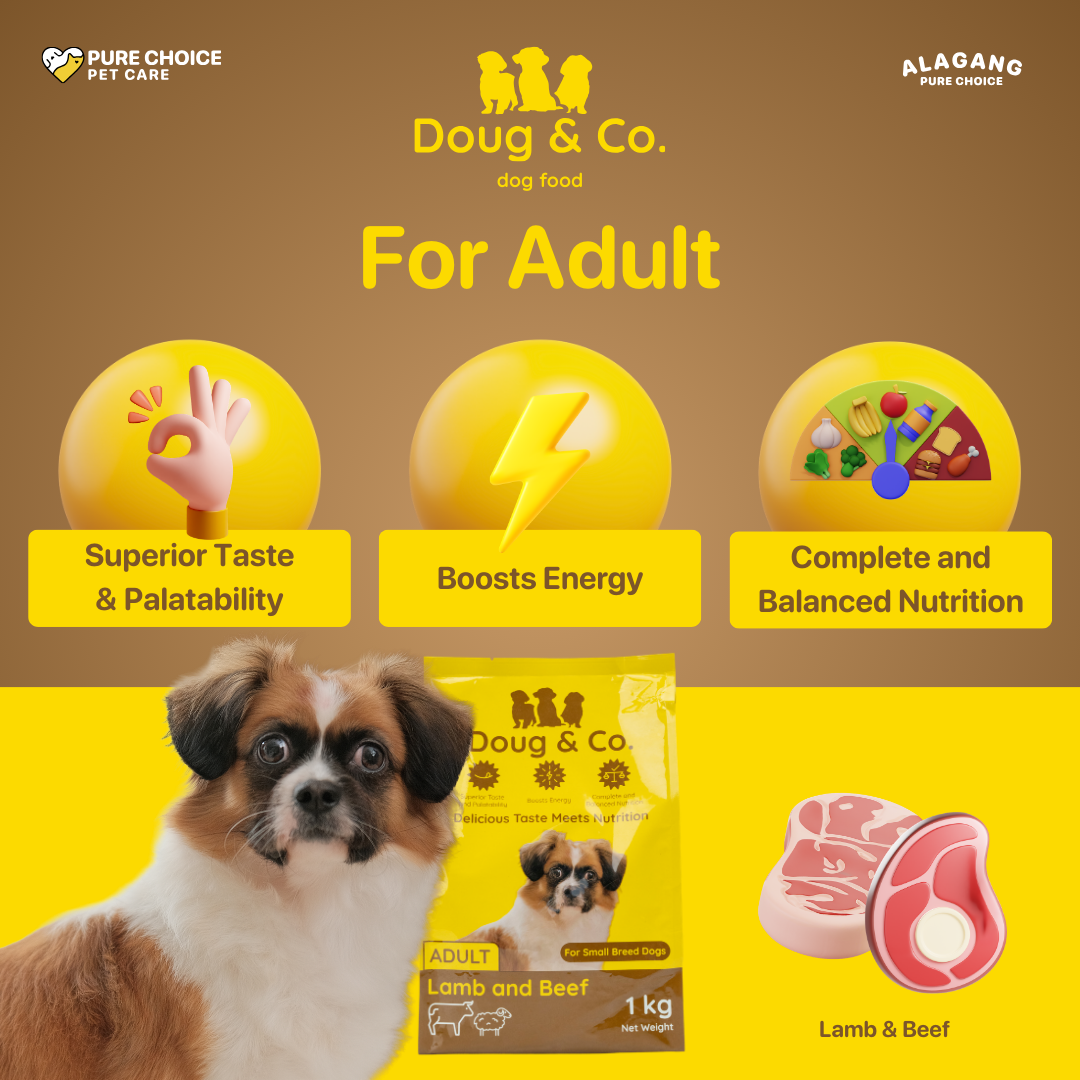 Doug & Co. Dry Dog Food Adult Lamb & Beef (1kg x 12pcs)