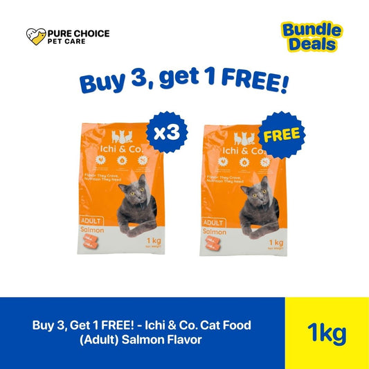 Pure Choice - Buy 3, Get 1 Free Ichi & Co. Dry Cat Food Adult 1kg Salmon Flavor