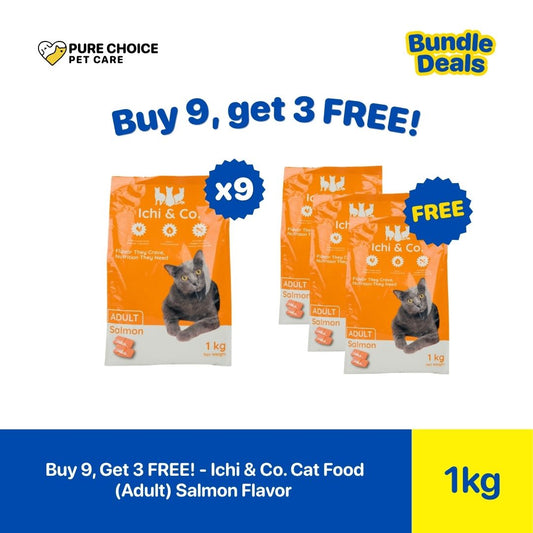 Pure Choice - Buy 9, Get 3 Free Ichi & Co. Dry Cat Food for Adult Salmon Flavor 1Kg