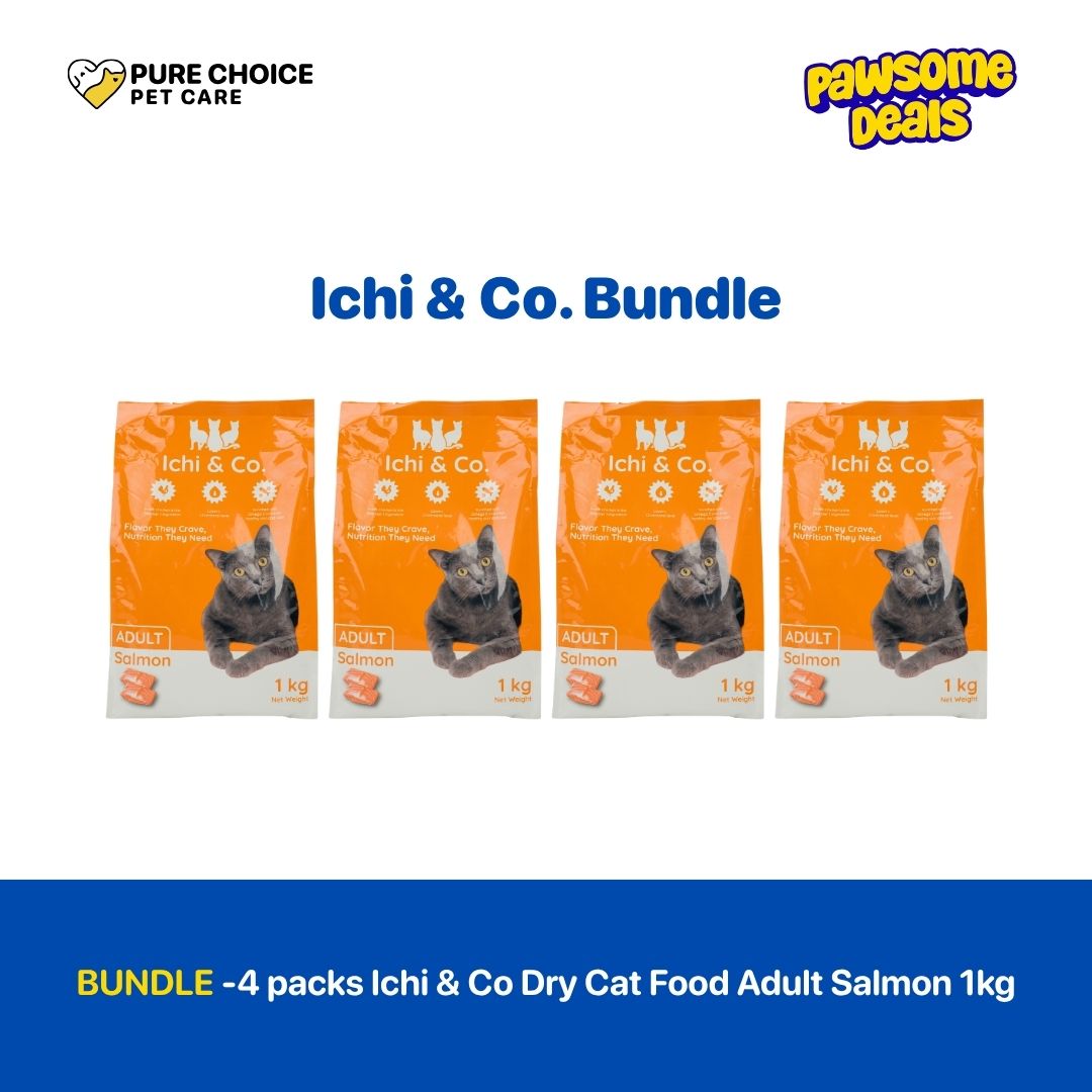Pure Choice - Bundle Ichi & Co. Dry Cat Food Adult Salmon 1kg