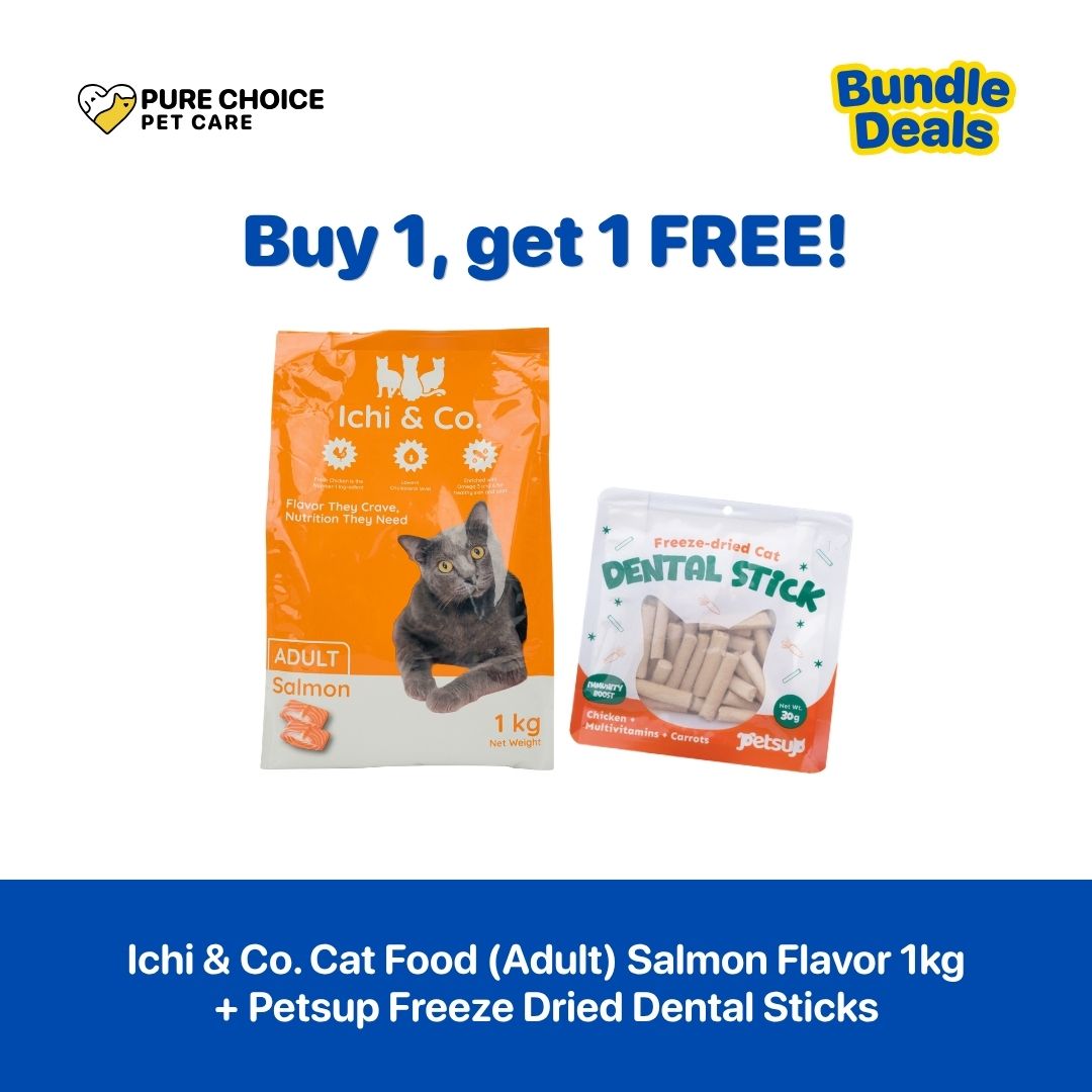Buy 1 Get 1 Free - Ichi & Co. Dry Cat Food 1kg Salmon Flavor for Adult + Petsup Freeze Dental Sticks