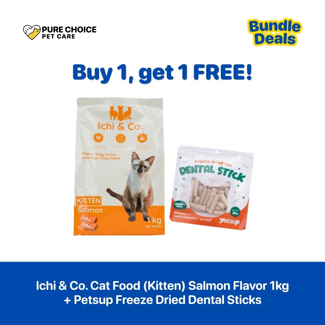 Buy 1 Get 1 Free - Ichi & Co. Dry Cat Food 1kg Salmon Flavor for Kitten + Petsup Freeze Dental Sticks