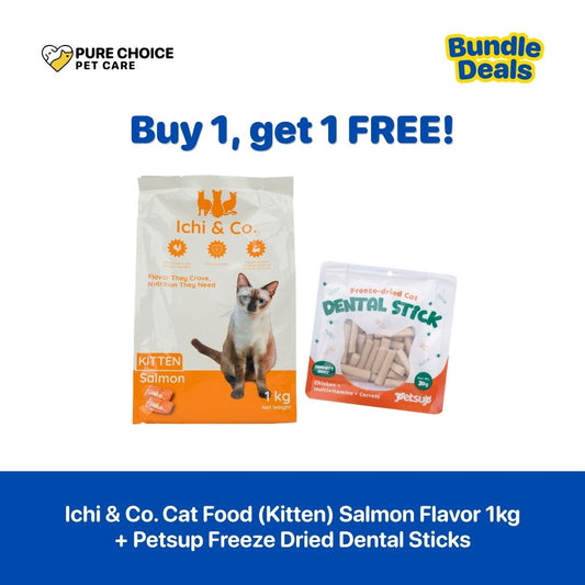 Buy 1 Get 1 Free - Ichi & Co. Dry Cat Food 1kg Salmon Flavor for Kitten + Petsup Freeze Dental Sticks