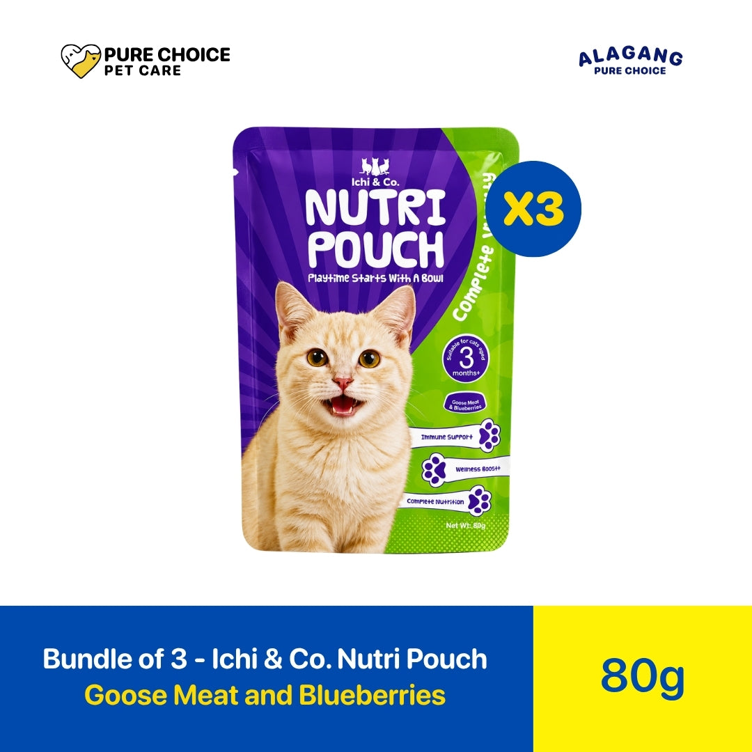 Pure Choice - Bundle of 3 Ichi & Co. Nutri Pouch Cat Wet Food Goose Meat and Blueberries Flavor 80g