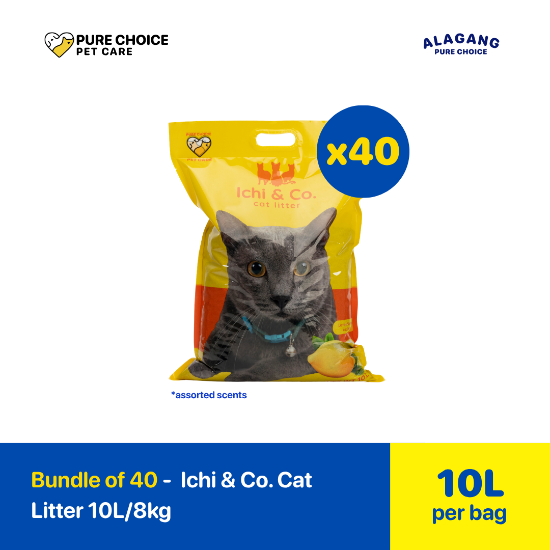 Bundle of 40 Bags - Ichi & Co. 10L/8kg