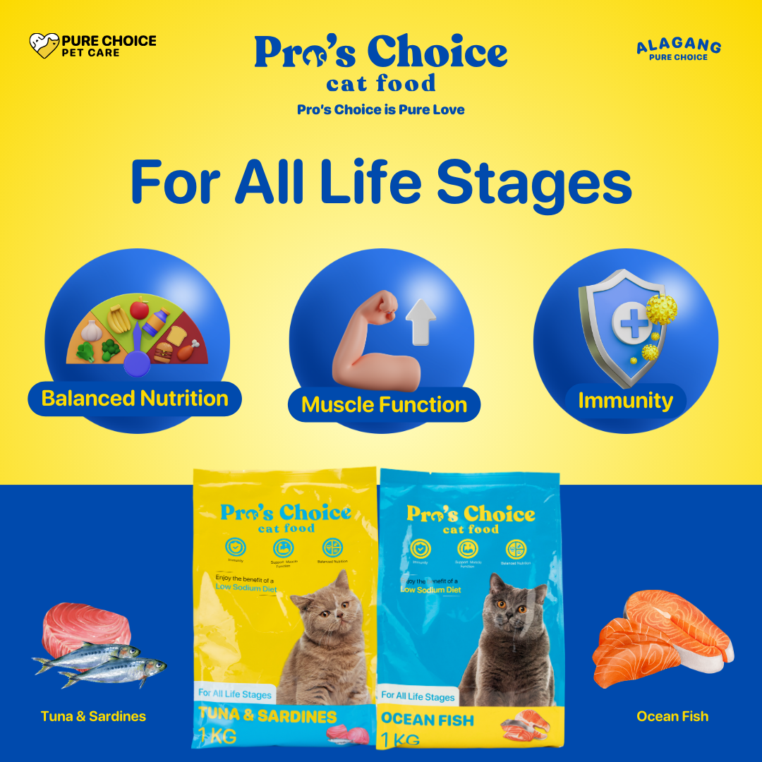 Pro's Choice Dry Cat Food for All Life Stages Flavor 1Kg - Bundle of 2 Packs