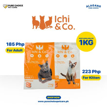 Ichi & Co Cat Food 1kg (Salmon)