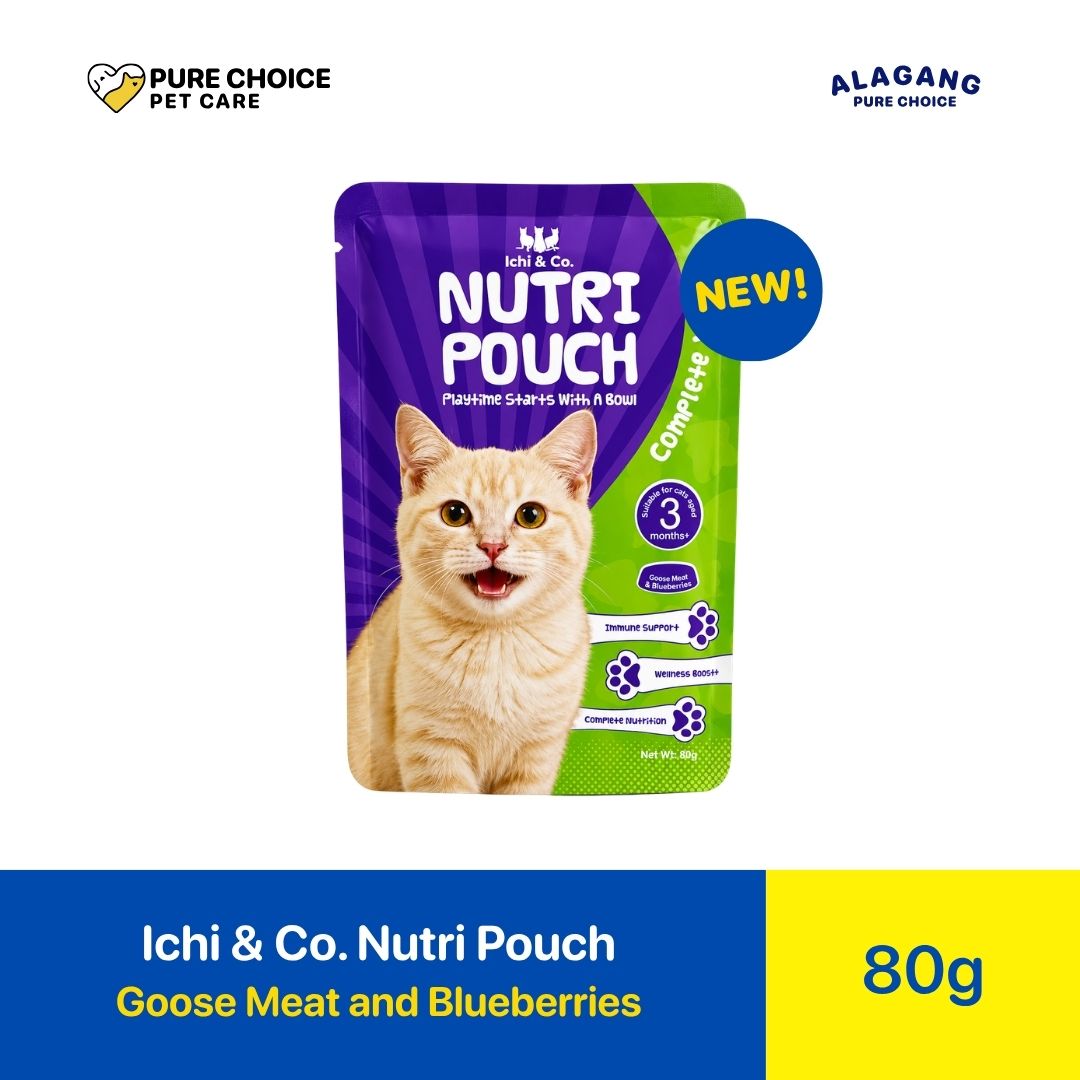 Pure Choice - Ichi & Co. Nutri Pouch Cat Wet Food Goose Meat and Blueberries Flavor 80g