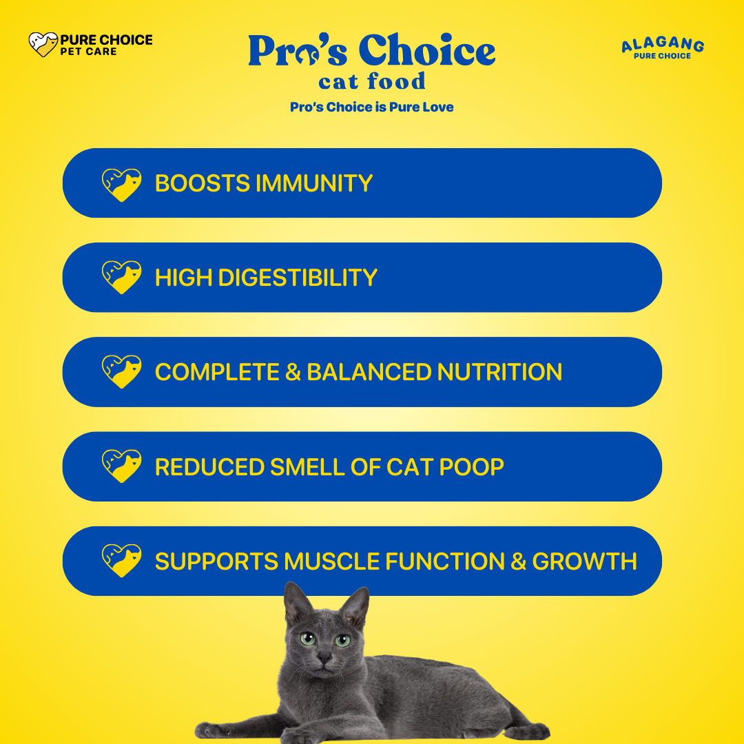 Pro's Choice Dry Cat Food for All Life Stages Flavor 1Kg - Bundle of 2 Packs