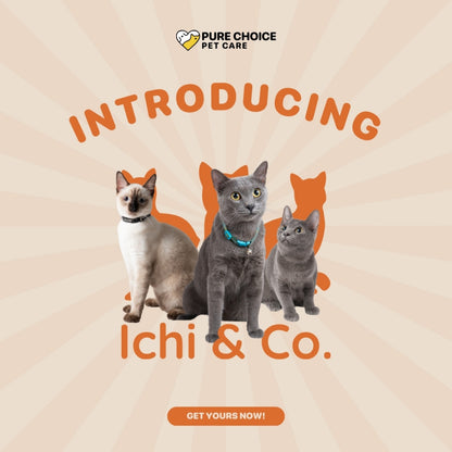Ichi &amp; Co Cat Litters Lemon 10L/8kg image 2