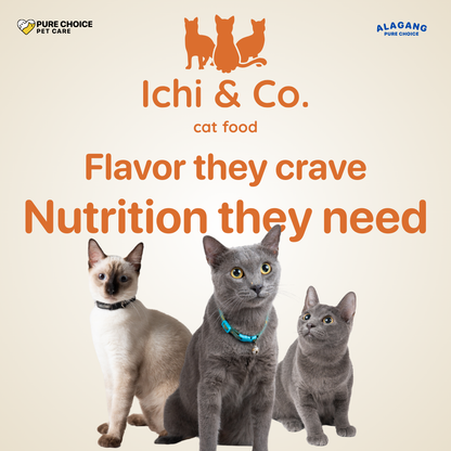 Ichi & Co. Dry Cat Food  Salmon Flavor 1kg - Bundle of 2 Packs