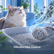 Natural Bentonite Cat Litter