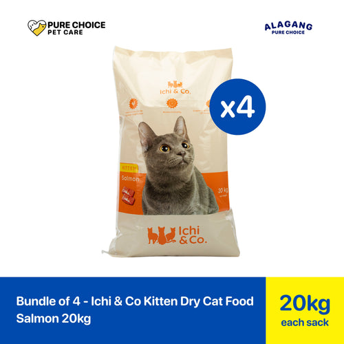 Ichi & Co Kitten Dry Cat Food Salmon 20kg - Bundle of 4