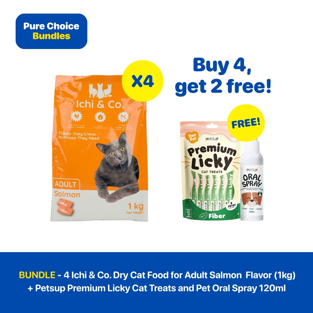 Bundle - 4 Ichi & Co. Dry Cat Food for Adult Salmon Flavor (1kg) + Petsup Premium Licky Cat Treats and Pet Oral Spray 120ml