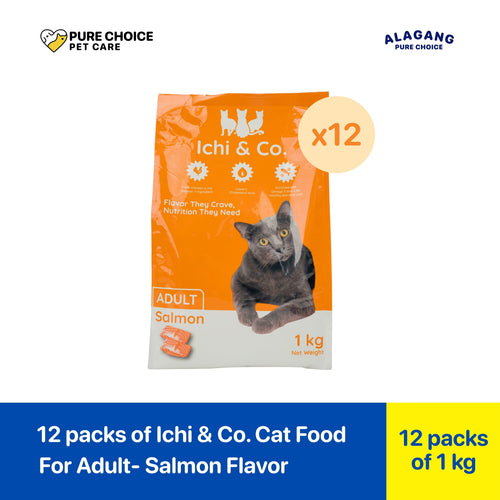 Ichi & Co Adult Dry Cat Food Salmon 1kg - Bundle of 12