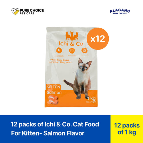 Ichi & Co Kitten Dry Cat Food Salmon 1kg - Bundle of 12
