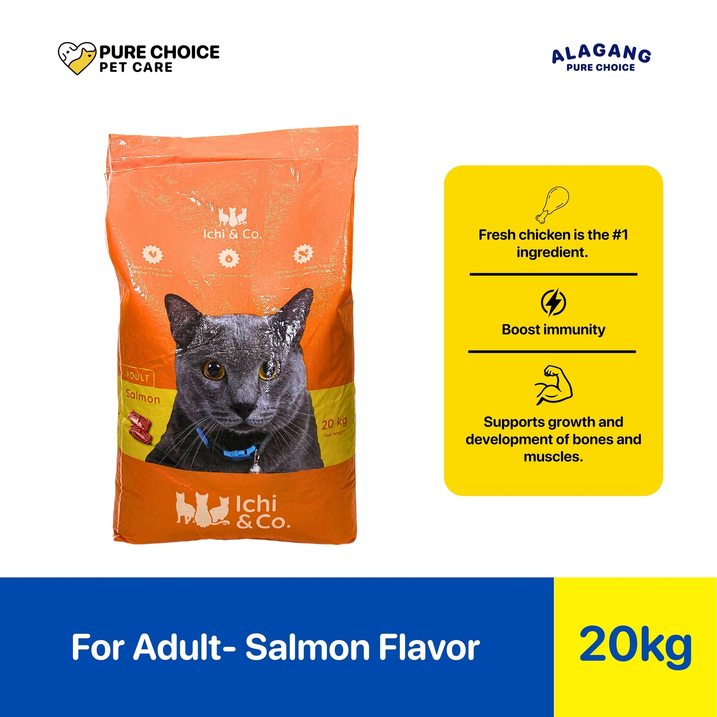 Pure Choice Ichi & Co. Dry Cat Food Adult Salmon