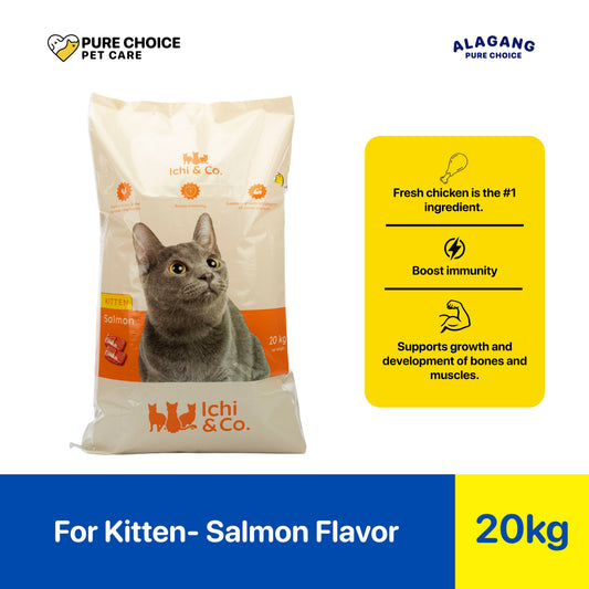 Pure Choice Ichi & Co. Dry Cat Food Kitten Salmon