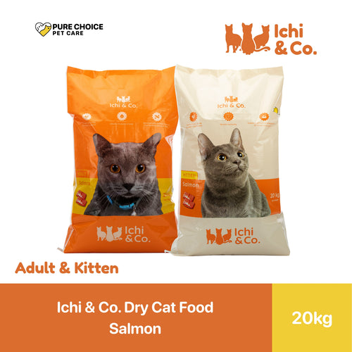 Ichi & Co. Dry Cat Food Salmon Flavor 20kg