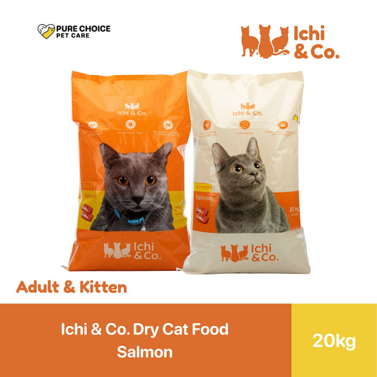 Ichi & Co. Dry Cat Food Salmon Flavor 20kg