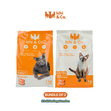 Ichi & Co. Dry Cat Food  Salmon Flavor 1kg - Bundle of 2 Packs