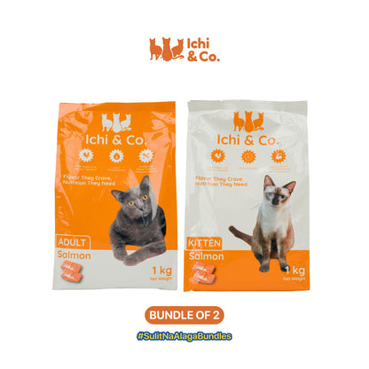 Ichi & Co. Dry Cat Food  Salmon Flavor 1kg - Bundle of 2 Packs