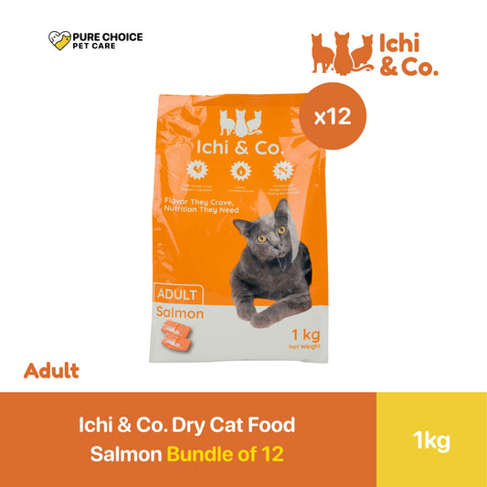 Ichi & Co. Dry Cat Food for Kitten 1kg Salmon Flavor - Bundle of 12 Packs