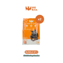 Ichi & Co. Dry Cat Food  Salmon Flavor 1kg - Bundle of 2 Packs