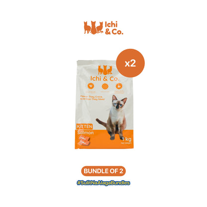 Ichi & Co. Dry Cat Food  Salmon Flavor 1kg - Bundle of 2 Packs