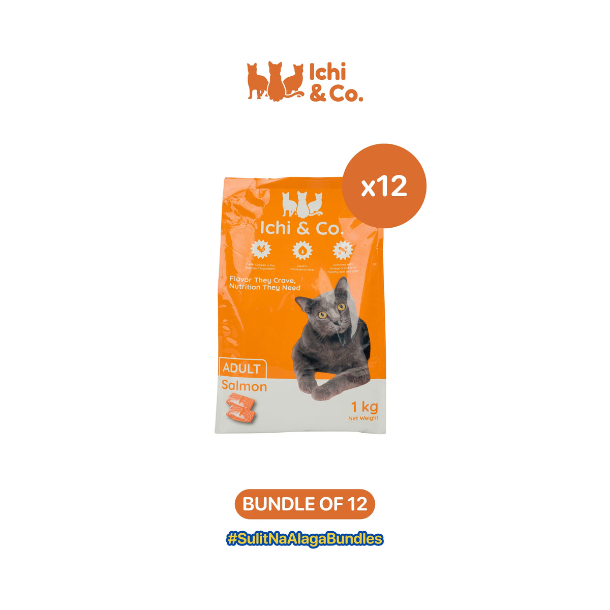 Ichi & Co. Dry Cat Food for Kitten 1kg Salmon Flavor - Bundle of 12 Packs