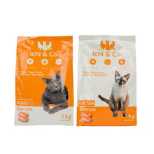 Dry Cat Food Adult / Kitten Salmon 1kg
