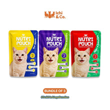 Ichi & Co. Nutri Pouch Cat Wet Food  80g - Bundle of 3