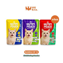 Ichi & Co. Nutri Pouch Cat Wet Food 80g - Bundle of 12