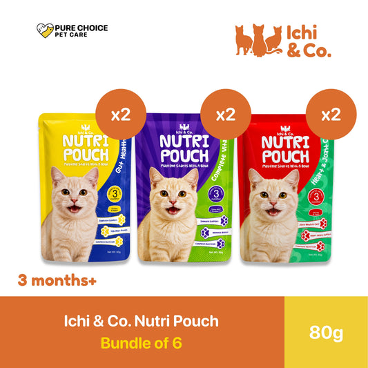Ichi & Co. Nutri Pouch Cat Wet Food 80g - Bundle of 6 Pouch