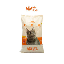 Ichi & Co. Dry Cat Food Salmon Flavor 20kg