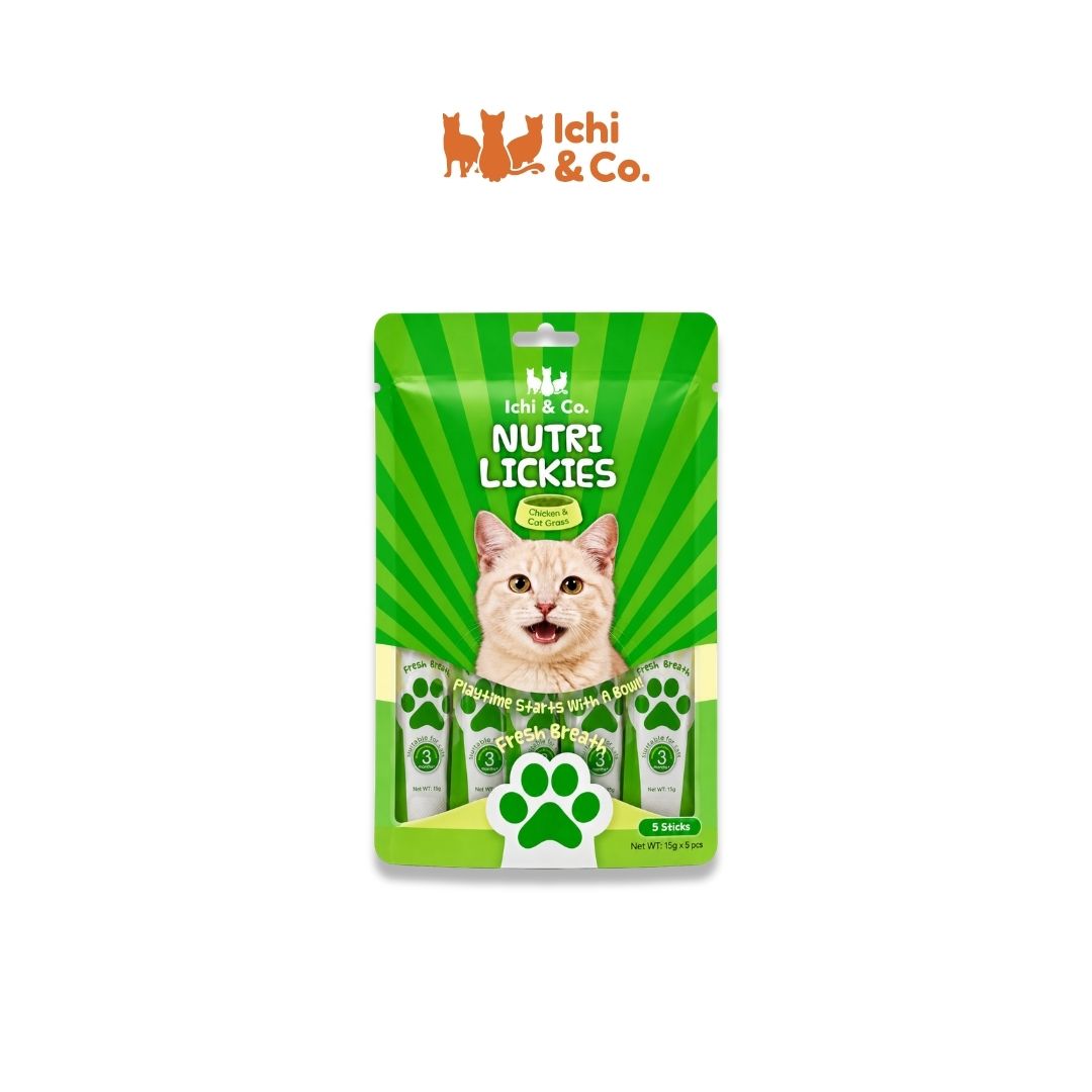 Ichi & Co. Nutri  Lickies Cat Wet Treats (15g x 5 Sticks) 75g