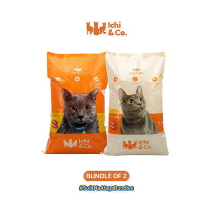 Ichi  & Co. Dry Cat Food Salmon Flavor 20kg - Bundle of 2 Sacks