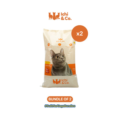 Ichi  & Co. Dry Cat Food Salmon Flavor 20kg - Bundle of 2 Sacks