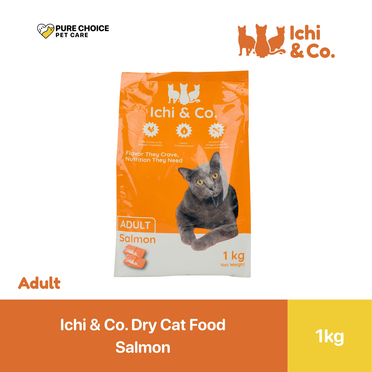 Ichi & Co. Dry Cat Food Adult / Kitten Salmon 1kg