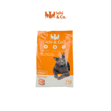 Ichi & Co. Dry Cat Food Adult / Kitten Salmon 1kg