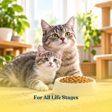 Dry Cat Food for All life Stage Tuna and Sardines, Ocean Fish Flavor  22.7Kg