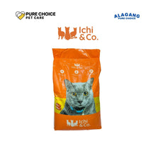 Ichi &amp; Co Cat Cat Food Salmon 20kg image 1