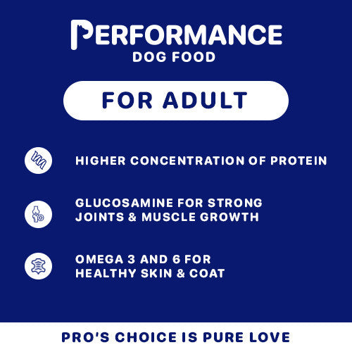 Performance Dog Food: Performance Puppy and Adult Lamb, Beef Vegetables Flavor 1kg image 6